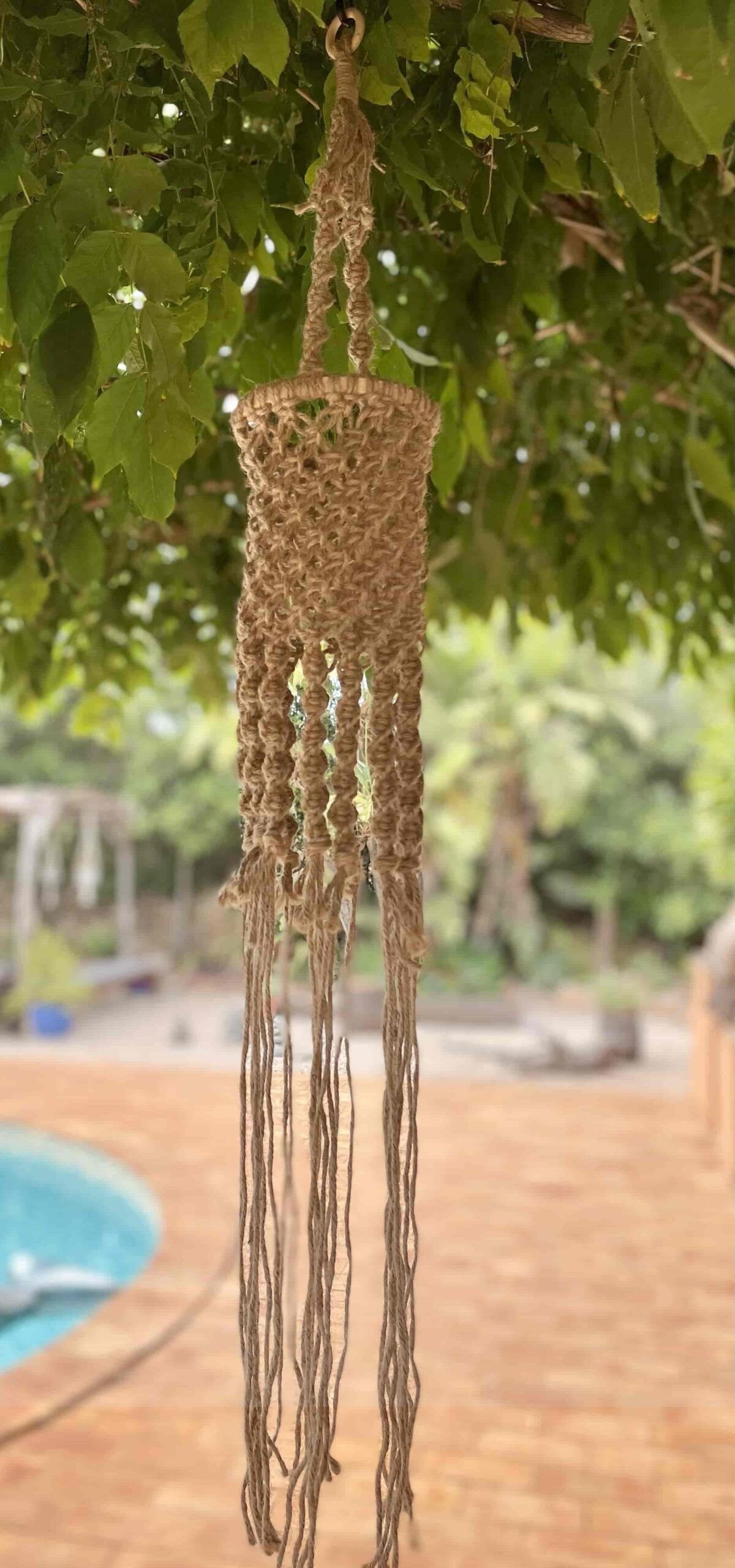 Jelly Fish 'Dangly Thing' - Image 3