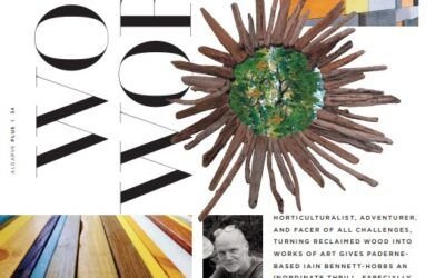 Algarve Plus Magazine Article